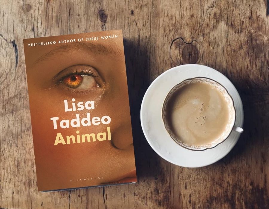 Animal by Lisa Taddeo