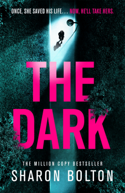 The Dark by Sharon Bolton | Book Review | #TheDark #LaceyFlint