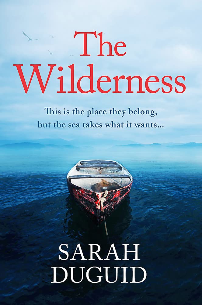 The Wilderness by Sarah Duguid | #bookreview | @TinderPress @SarahDuguid4 @RandomTTours