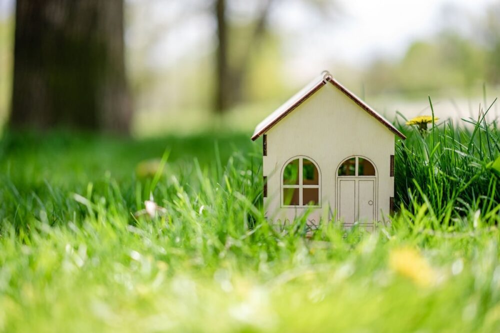 Image: a miniature house made of balsa wood sits in lush green grass next to a dandelion in bloom.