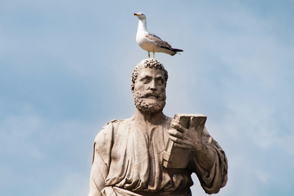 Image: an ancient Roman statue of a bearded man holding a book, seen against a blue sky. A seagull stands atop the statue's head.