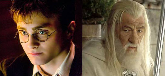 Who Would Win In A Fight: Harry Potter Or Gandalf - The Paper Kind